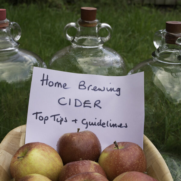 Homebrewing Cider – Top Tips and Guidelines