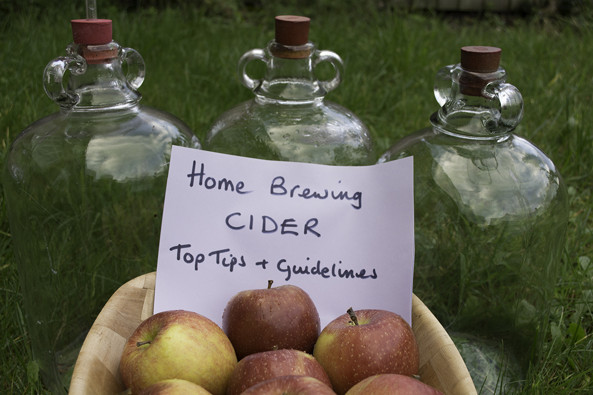 Homebrewing Cider – Top Tips and Guidelines
