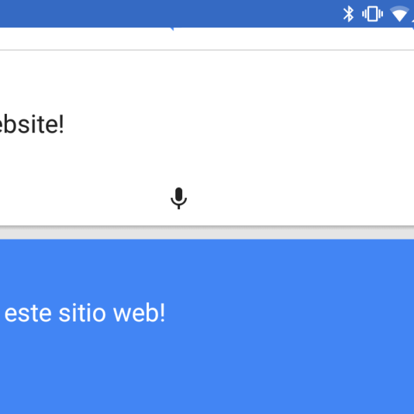 Google Translate Screenshot - I love this website!
