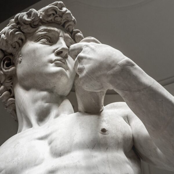Biblical David (Michelangelo) 1501-1504 marble statue
