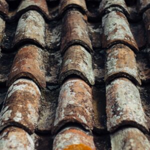 Brown roof shingles