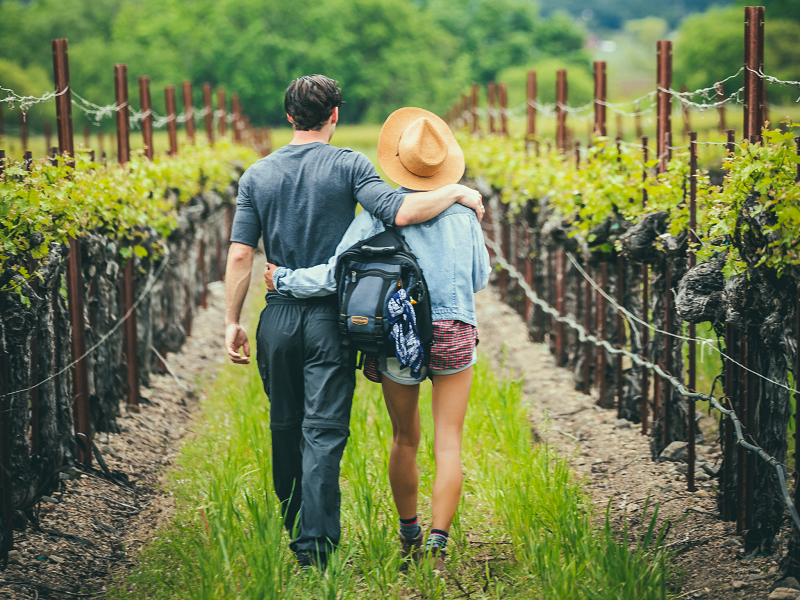 Couple walking through vineyard
