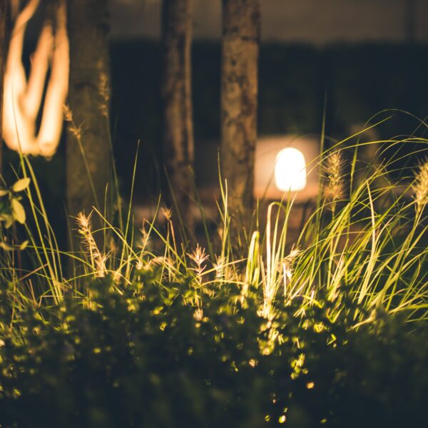 Garden at night with lights in the background