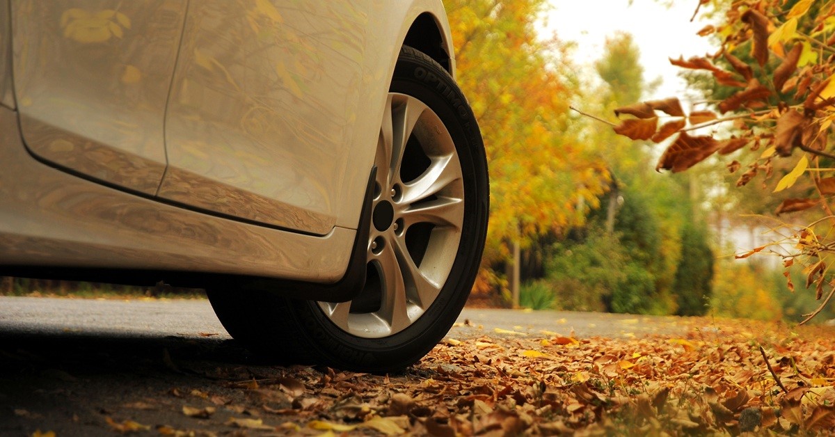 Wheel of a car and Autumn leaves