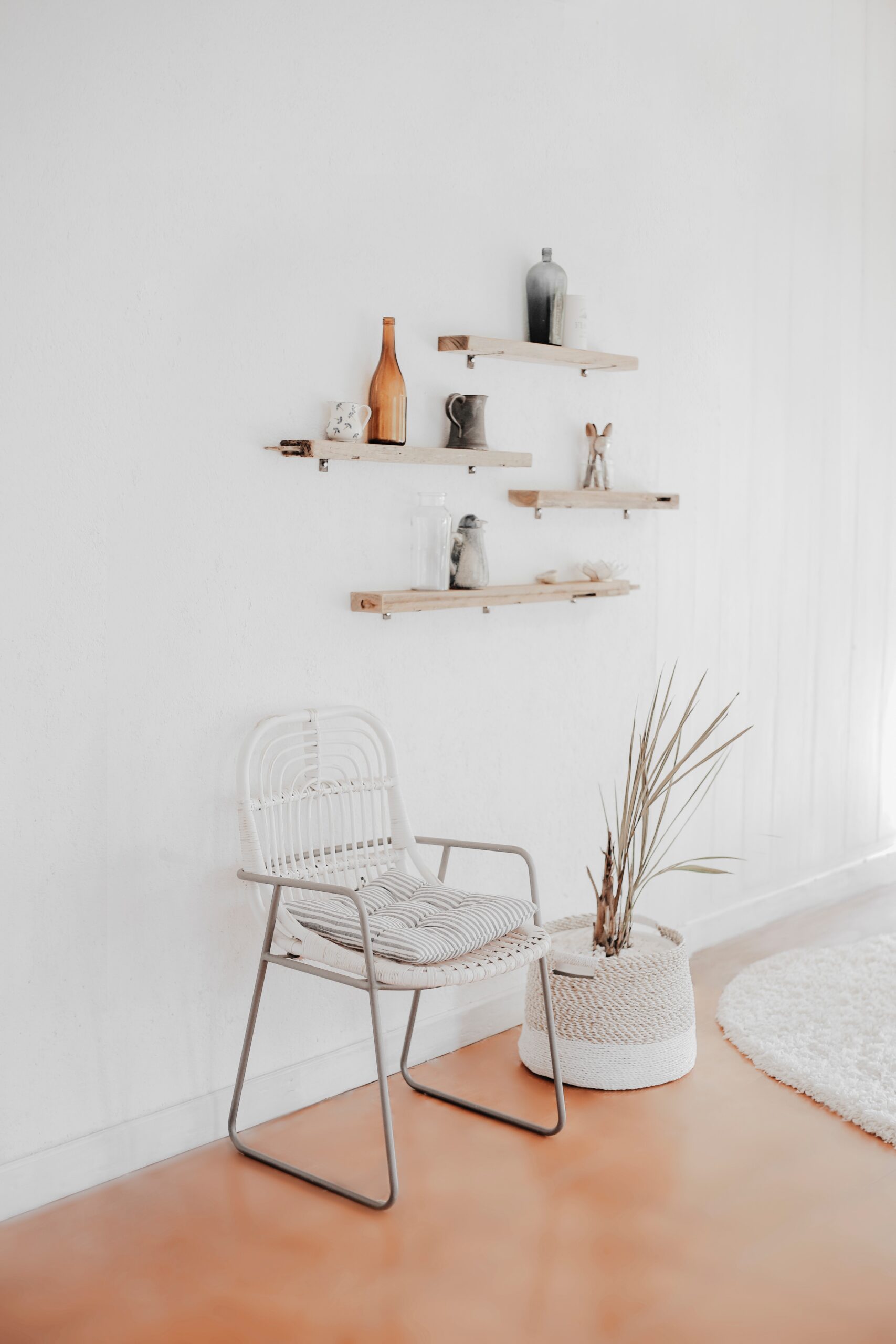 Chair, rug, plant and shelves