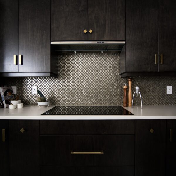 Dark, empty kitchen stove with ceramic stovetop and black wooden cabinets