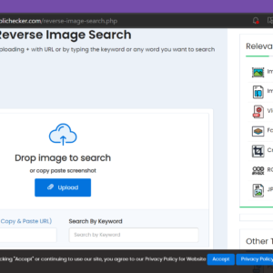 Duplichecker Reverse Image Search Tool