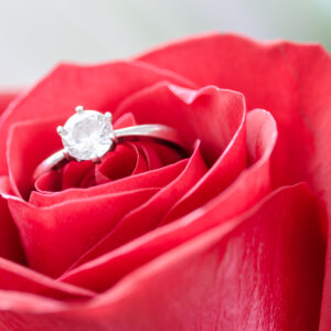 Engagement ring in a rose