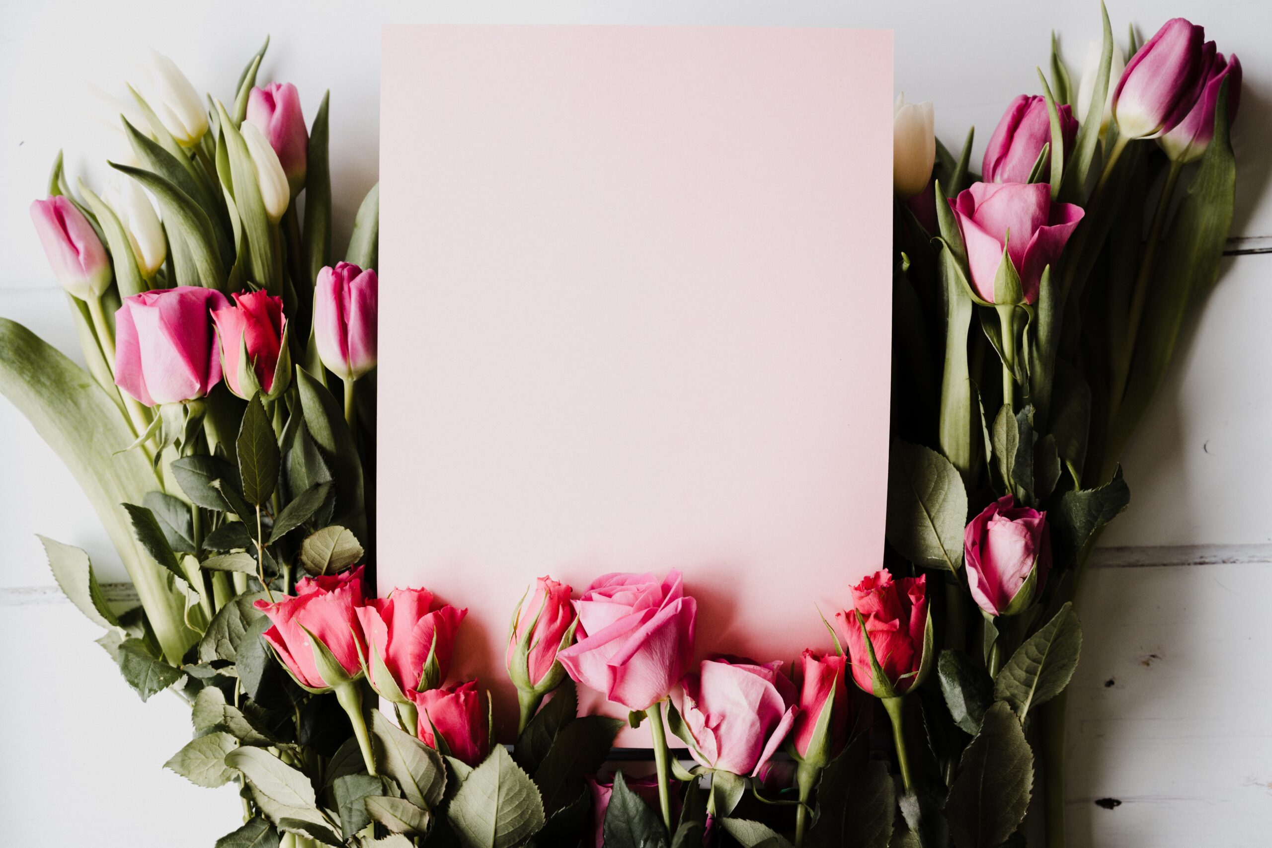 Spring tulips and roses with pink card and room for text