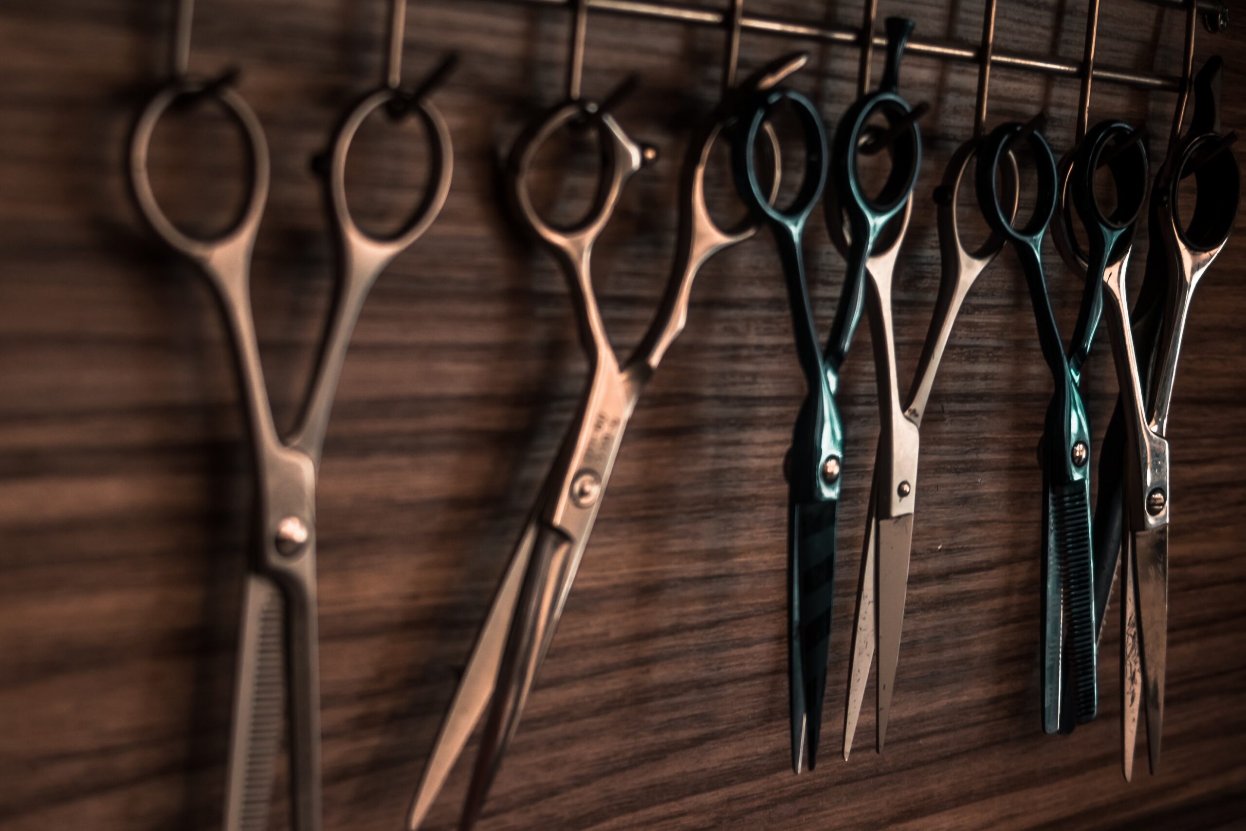 Several pairs of scissors hanging on hooks