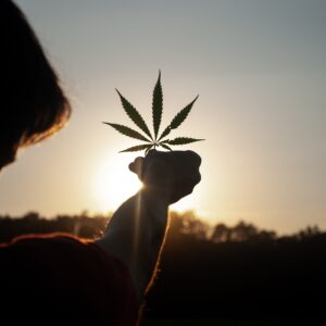 A person holding a cannabis leaf in front of a sunset