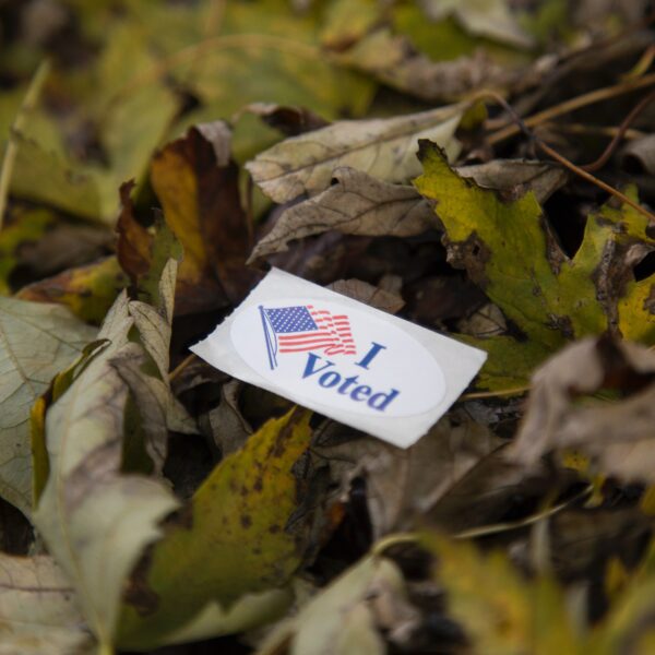I Voted sticker on leaves