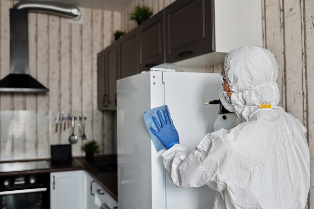 Person cleaning a kitchen