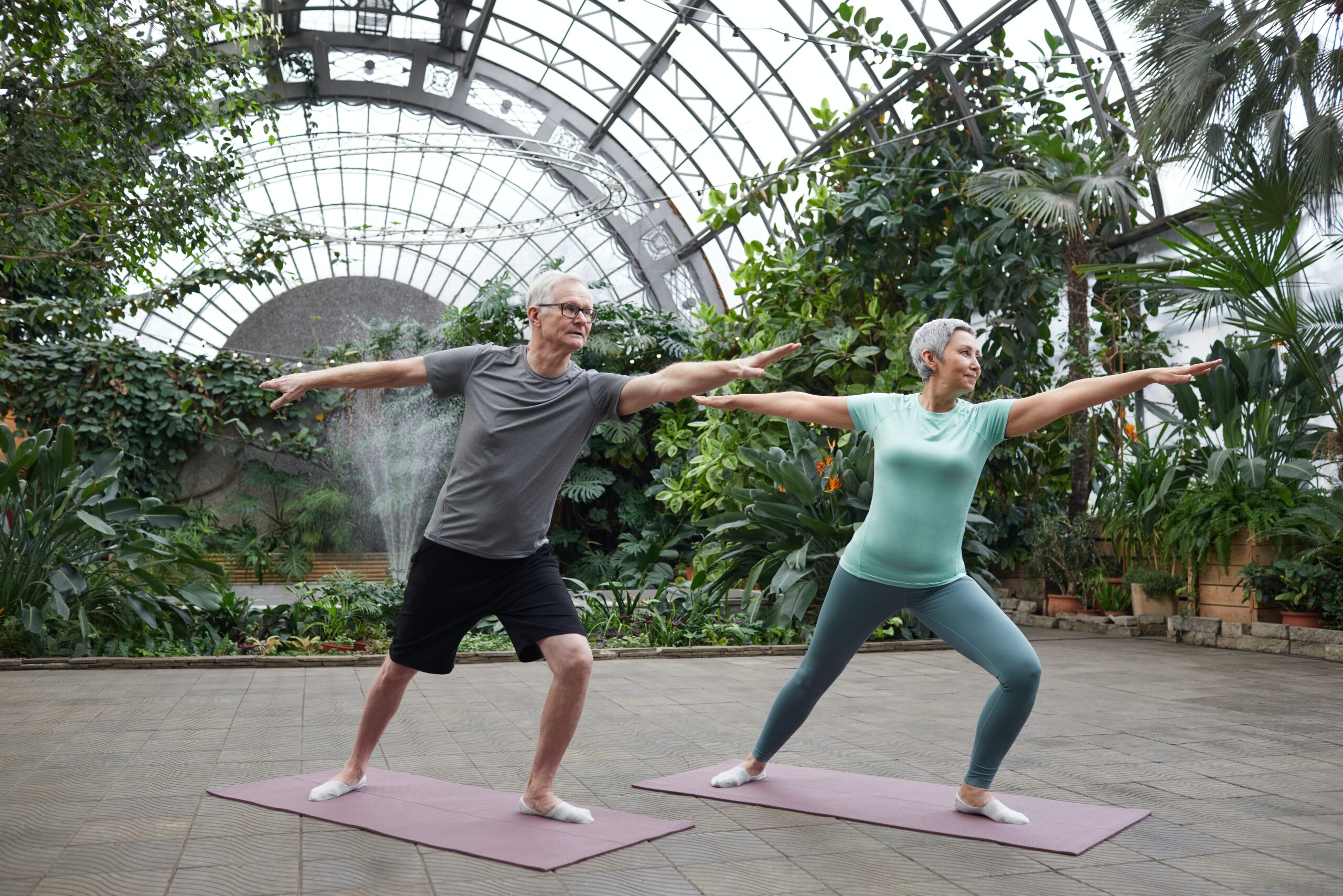 Elderly couple doing yoga