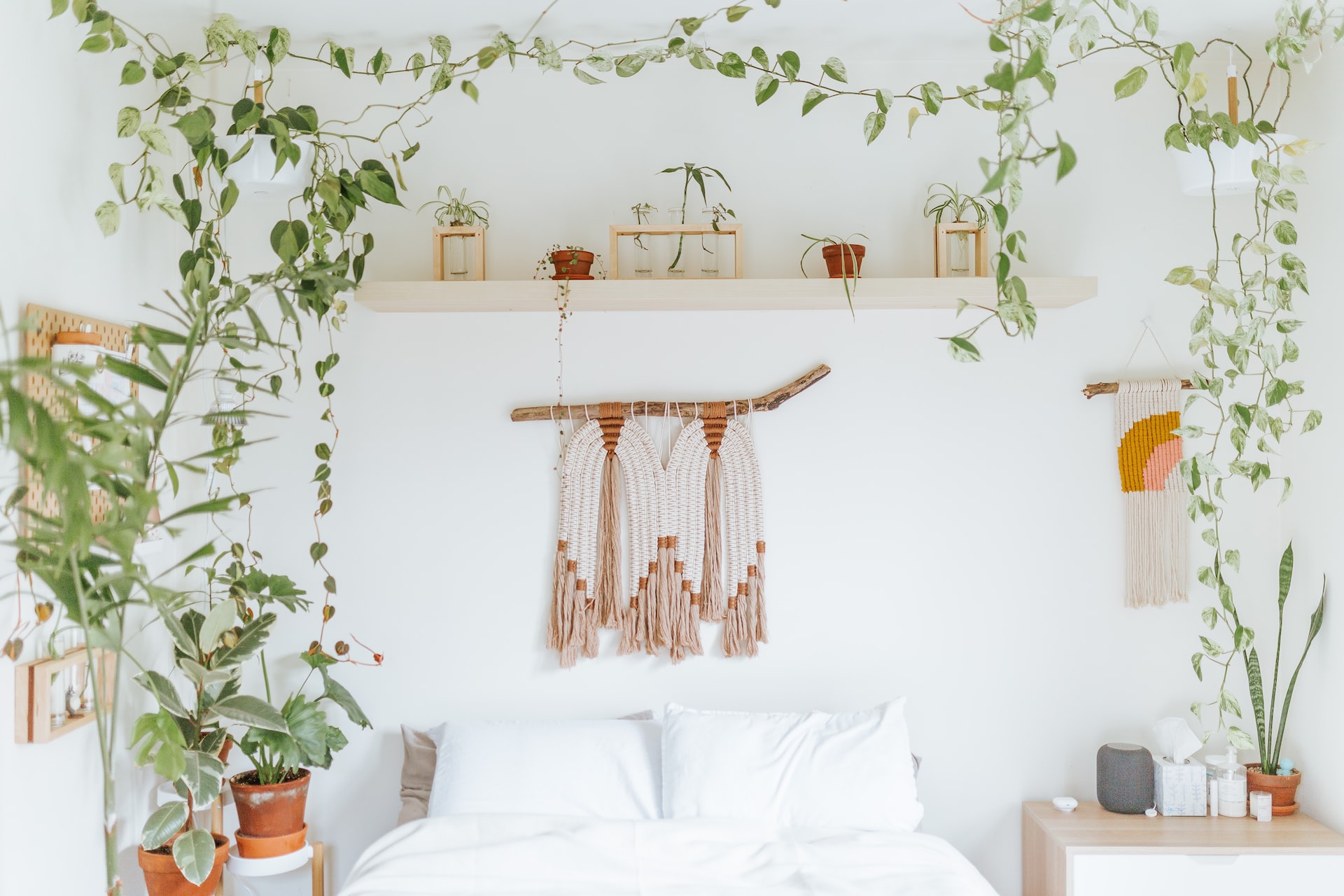 Bedroom with white walls, houseplants, fake vines, and macramé