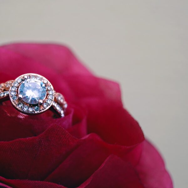 Solitare ring with diamond halo setting resting on a rose