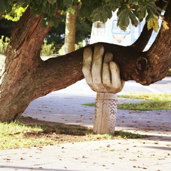 Tree supported by a sculpture
