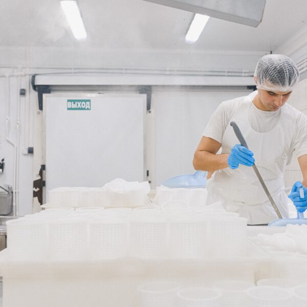 Man working at cheese factory