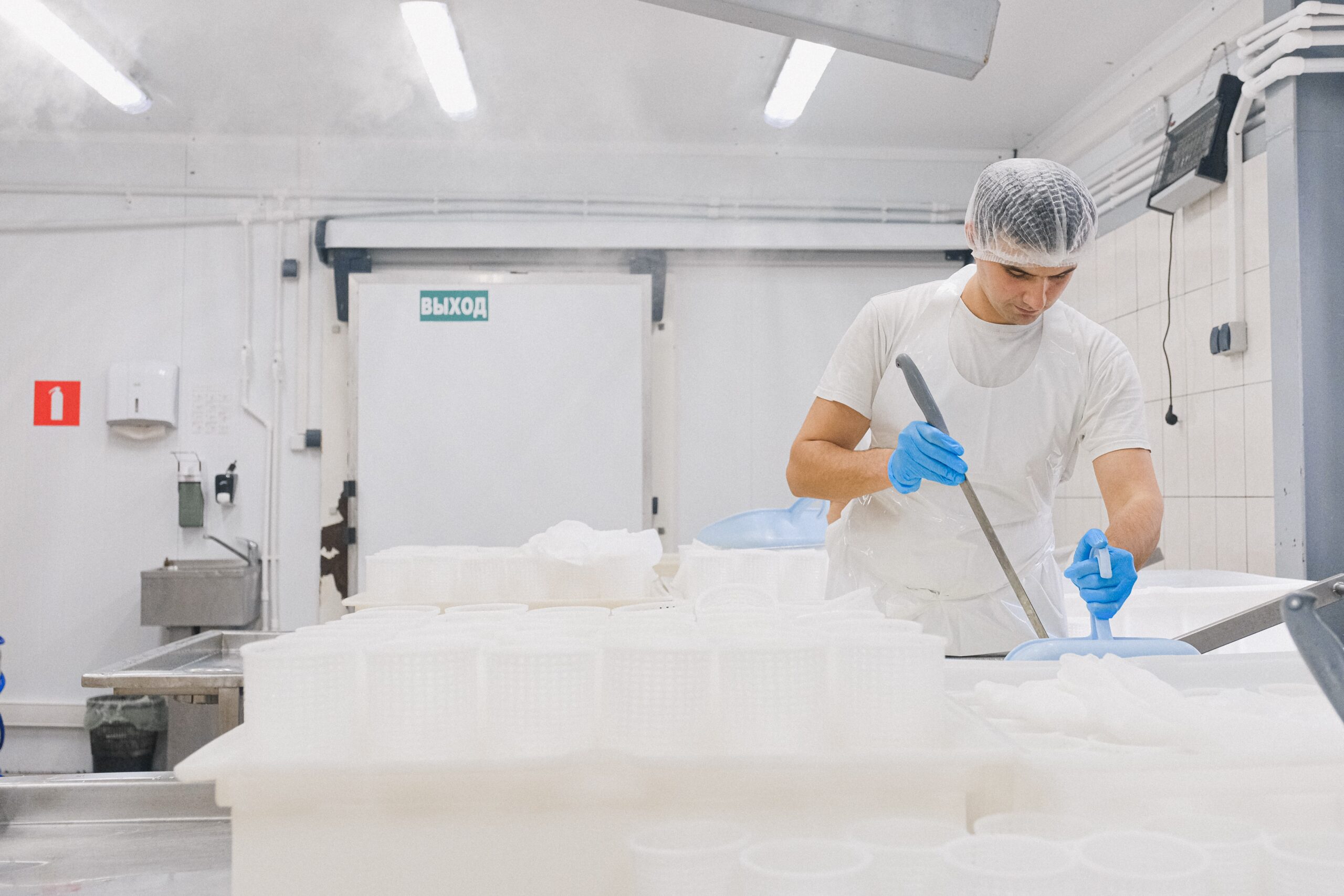 Man working at cheese factory