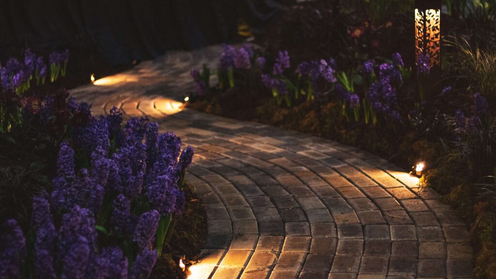 Beautifully lit garden path surrounded by purple flowers